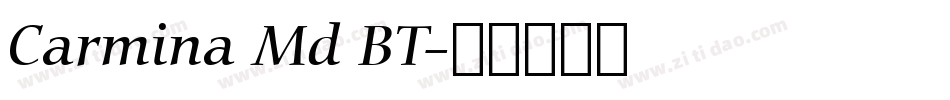 Carmina Md BT字体转换